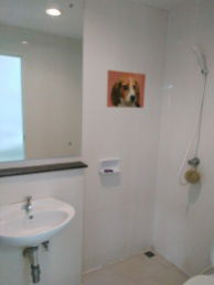 รูป ⚡ ให้เช่า ทาวน์โฮม 2 ชั้น หมู่บ้าน โมดิ วิลล่า ลาดกระบัง - สุวรรณภูมิ ขนาด 19 ตร.ว. ⚡ - รูปที่ 11/12