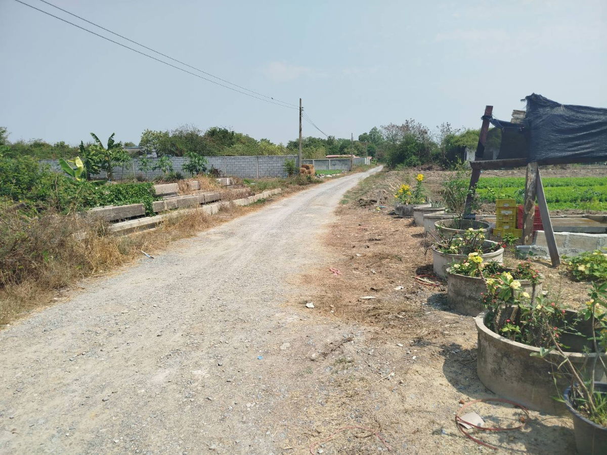 รูป ขายที่ดิน ซอย ส.ส. สำเร็จ ซอย6  นนทบุรี - รูปที่ 8/9