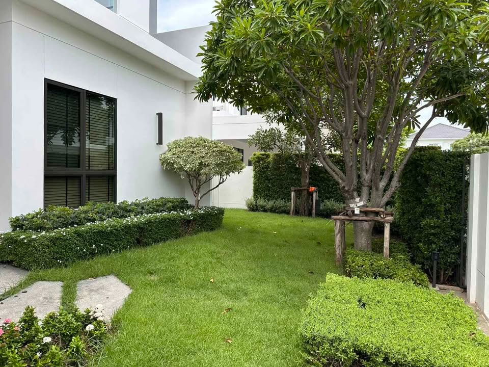 picture 🏡 Single house for rent Mantana Bangna Km. 15. 4 bedrooms, 1 maid's room, 283 sq m., near Mega Bangna and Suvarnabhumi Airport. - 5/26