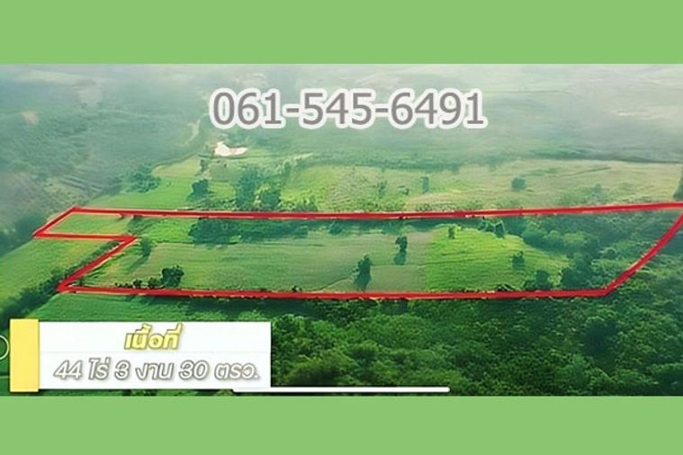 ขาย ที่ดิน 44 ไร่ ใกล้ โรงแรม Kensington ปากช่อง เขาใหญ่ ที่ดินสวย บรรยากาศเย็นสบาย เหมาะทำรีสอร์ท