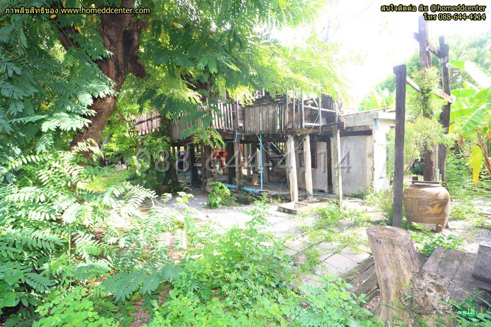 รูป ขายที่ดินเปล่าใจกลาง “ดุสิต” ซอยร่วมจิตต์ 3 ถนนพิชัย ผังสีน้ำตาล ย.8-6 - รูปที่ 8/15