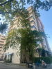 listing thumbnail image 14