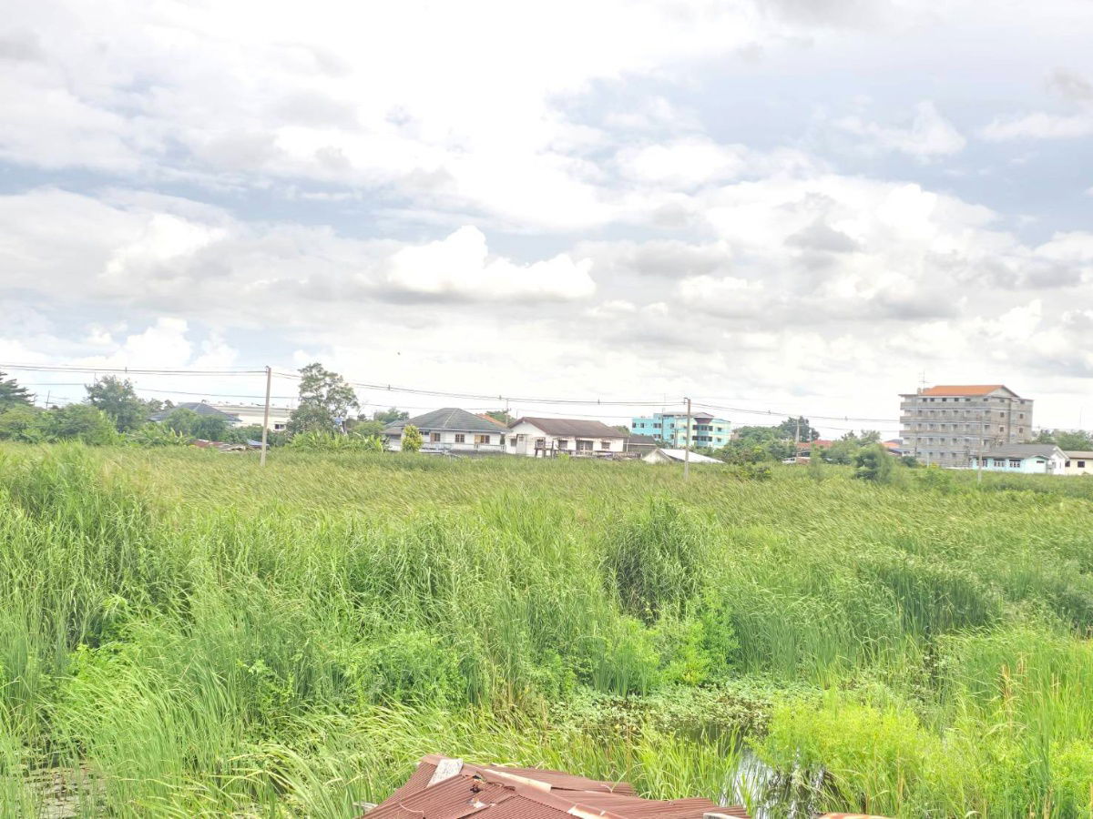 รูป ทาวน์เฮ้าส์ รีโนเวท กว้างขวาง หมู่บ้าน อยู่เจริญ ถนนรังสิต-นครนายก51 รังสิตคลอง2 อ.ธัญบุรี จ.ปทุมธานี 2หลังทะลุกัน กว้างมาก - รูปที่ 30/35