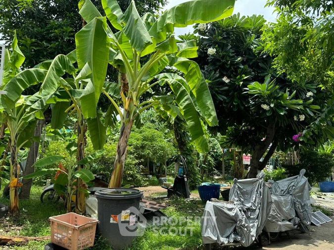 Land for sale, 71 sq wah, Bang Na
