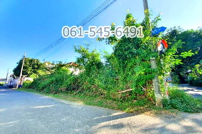 ที่ดิน วิทยาลัยศิลปหัตถกรรมกรุงเทพ : ขาย ที่ดิน 104 ตรว. ซอย นวมินทร์ 42 แยก 8-1 สวย ทำเลดี คุ้มค่ามาก