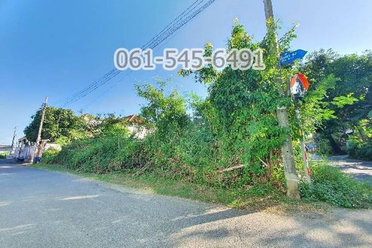 ขาย ที่ดิน 104 ตรว. ซอย นวมินทร์ 42 แยก 8-1 สวย ทำเลดี คุ้มค่ามาก