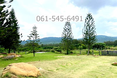 ที่ดิน ปากช่อง โคราช : ขาย ที่ดิน 73 ไร่ คลองม่วง ปากช่อง จ.นครราชสีมา ที่ดินบนเนินเขา เห็นวิว เขายายเที่ยง ทำเลดี เดินทางสะดวก