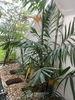 listing thumbnail image 9