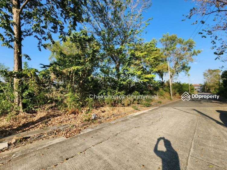 รูป ขายด่วน! ที่ดินสวย ถมแล้ว รังสิต คลอง 3 เพียง 1.45 ล้านบาทเท่านั้น! - รูปที่ 6/13