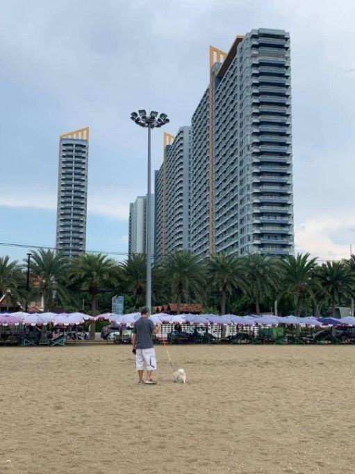 รูป ปล่อยเช่าคอนโด ลุมพินี พาร์คบีช จอมเทียน( Lumpini Park Beach Jomtien) ติดหาดจอมเทียน - รูปที่ 13/13