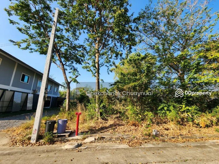 รูป ขายด่วน! ที่ดินสวย ถมแล้ว รังสิต คลอง 3 เพียง 1.45 ล้านบาทเท่านั้น! - รูปที่ 7/13