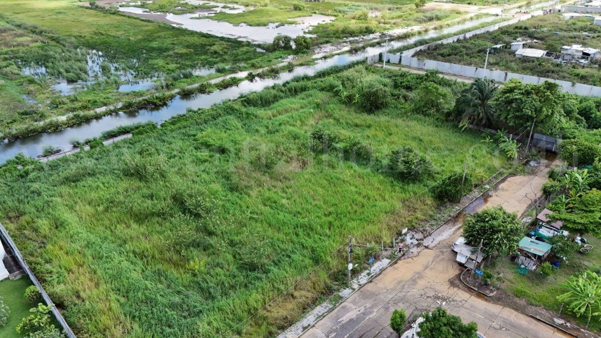 รูป ที่ดิน 316 ตร.วา ถมแล้ว หมู่บ้านกฤษดานคร 19 - คลองหลวง 1  - รูปที่ 6/6