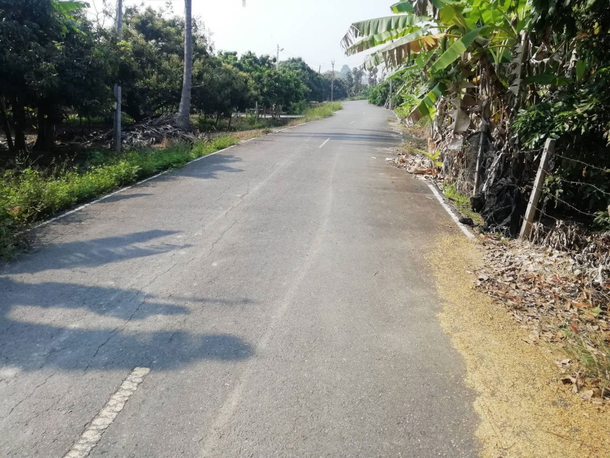 รูป ที่ดินเปล่า ไฟพร้อมน้ำพร้อม เหมาะสำหัรบสร้างบ้านขาย หรือ สร้างเพื่ออยุ่เอง - รูปที่ 8/17