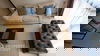 listing thumbnail image 32
