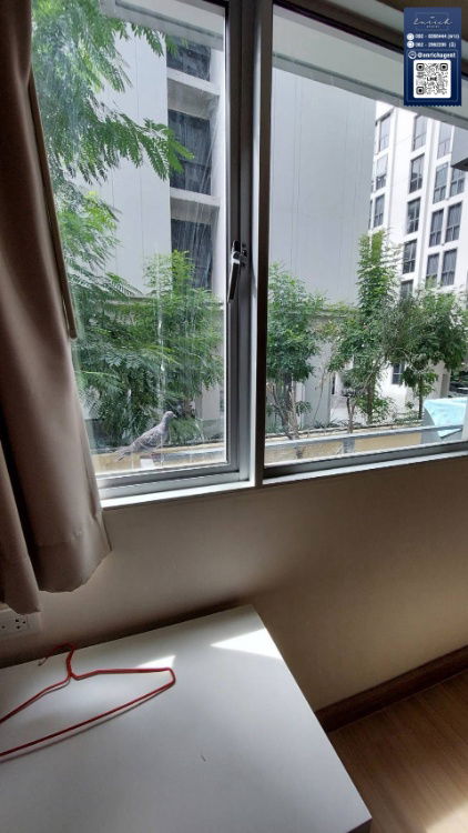 รูป 💙ให้เช่า My Condo Sukhumvit 81 แต่งครบพร้อมอยู่ BTS อ่อนนุช 💙 โทร.  092-8366444 ดาว // Line id : @enrichagent - รูปที่ 9/9