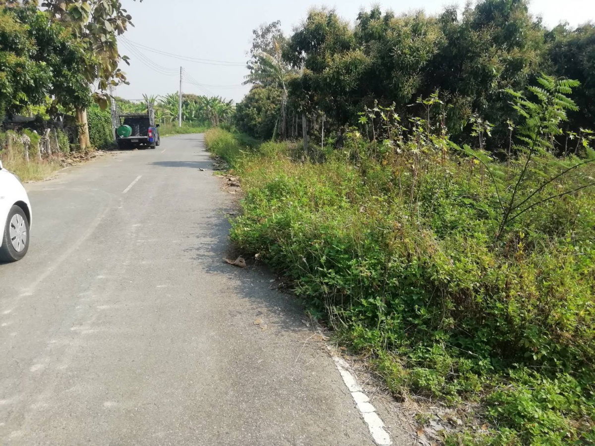 รูป ที่ดินเปล่า ไฟพร้อมน้ำพร้อม เหมาะสำหัรบสร้างบ้านขาย หรือ สร้างเพื่ออยุ่เอง - รูปที่ 7/17