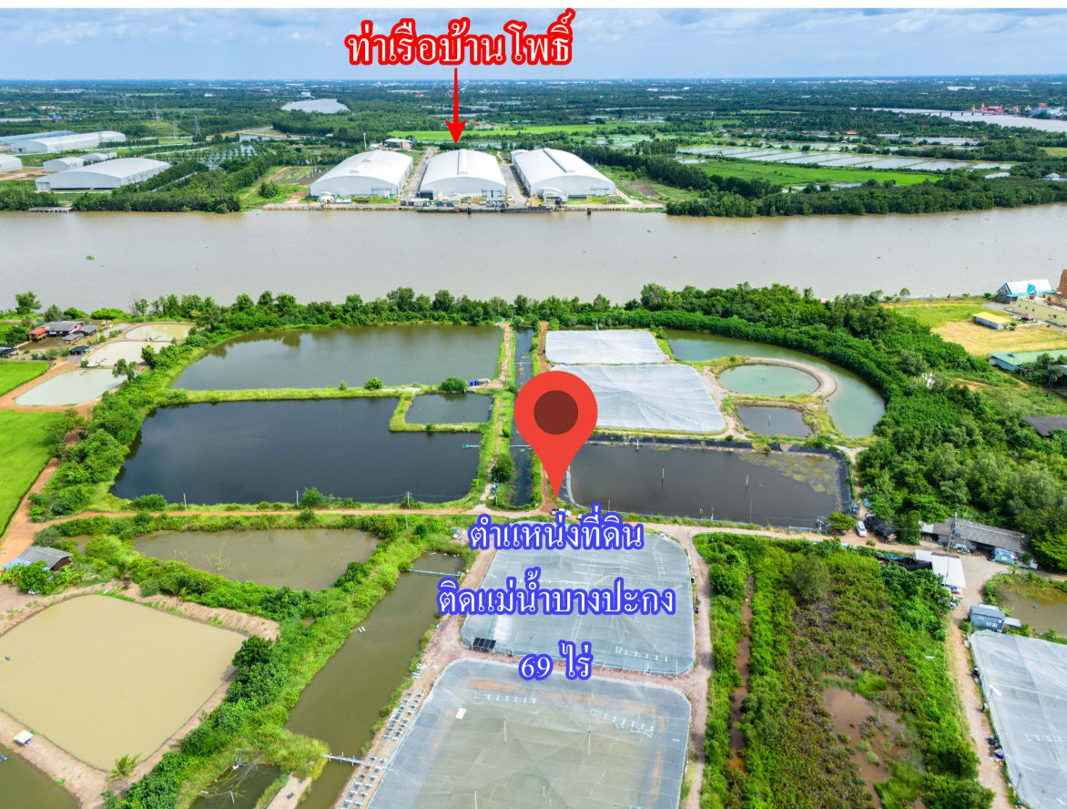 รูป ขายที่ดินติดแม่น้ำบางปะกง 69 ไร่ ตรงข้ามท่าเรือบ้านโพธิ์ ต.บ้านโพธิ์ อ.บ้านโพธิ์ จ.ฉะเชิงเทรา - รูปที่ 3/4