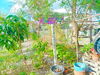 listing thumbnail image 7