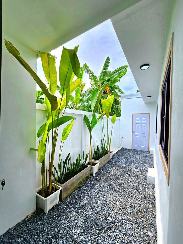 picture 📌 For Sell Town house ARSA HOUSE 5 1-story 4 bedroom 2 bathroom - 7/8