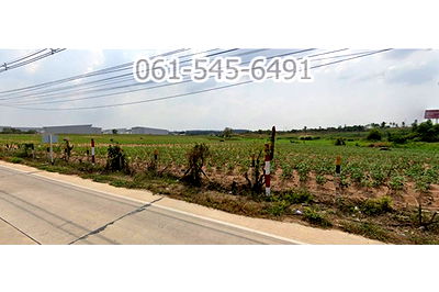 ที่ดิน นิคมอมตะซิตี้ : ขายที่ดิน ศรีราชา 44 ไร่ ใกล้ ถนนมอเตอร์เวย์-ศรีราชาบายพาส ติดถนน เส้น แยก 36 – โค้งดารา