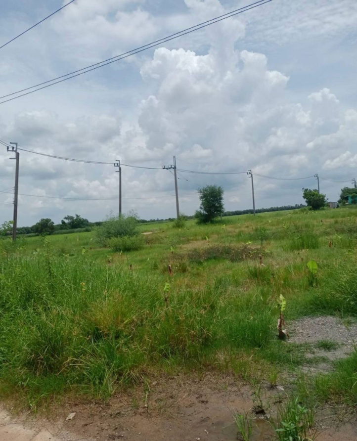 picture Land for Sale — Location: Nong Chok, Bangkok Size: 200 sq.wah (0.5 rai / ~800 sq.m / ~8,611 sq.ft) Down Payment: THB 200,000 - 6/6