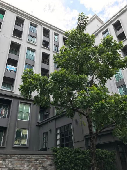 รูป 🤝🏻RB21016 ให้เช่าถูกมาก👍แชปเตอร์ วัน เดอะ แคมปัส ลาดพร้าว 1✅แอดไลน์ @mproperty( มี @ ด้วย) แอดมินตอบไว - รูปที่ 13/17