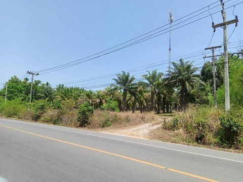 ขายที่ดินสวย 21ไร่  เอกสารสิทธิโฉนด เจ้าของขายเอง ชุมพร