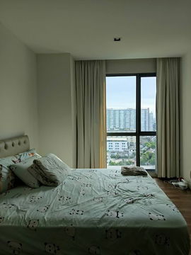 ให้ เช่าคอนโด The Room Sukhumvit 62 (เดอะ รูม สุขุมวิท 62) ขนาด 45 ตรม ชั้น 14 ตึก B