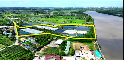 ที่ดิน บ้านโพธิ์ ฉะเชิงเทรา : ขายที่ดินติดแม่น้ำบางปะกง 69 ไร่ ตรงข้ามท่าเรือบ้านโพธิ์ ต.บ้านโพธิ์ อ.บ้านโพธิ์ จ.ฉะเชิงเทรา