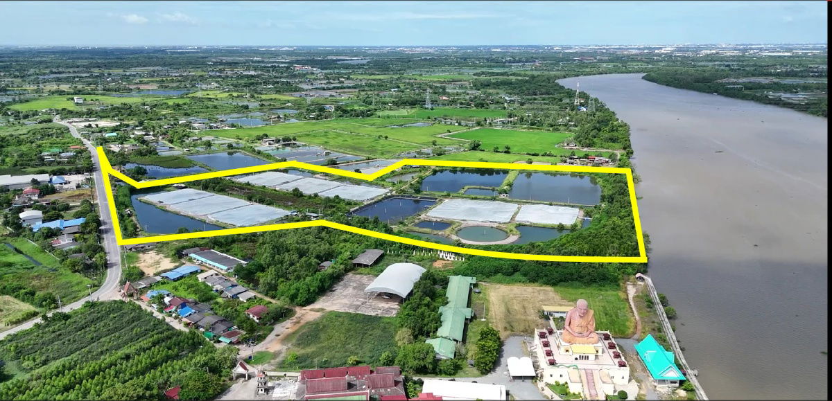 รูป ขายที่ดินติดแม่น้ำบางปะกง 69 ไร่ ตรงข้ามท่าเรือบ้านโพธิ์ ต.บ้านโพธิ์ อ.บ้านโพธิ์ จ.ฉะเชิงเทรา - รูปที่ 1/4