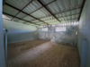 listing thumbnail image 27