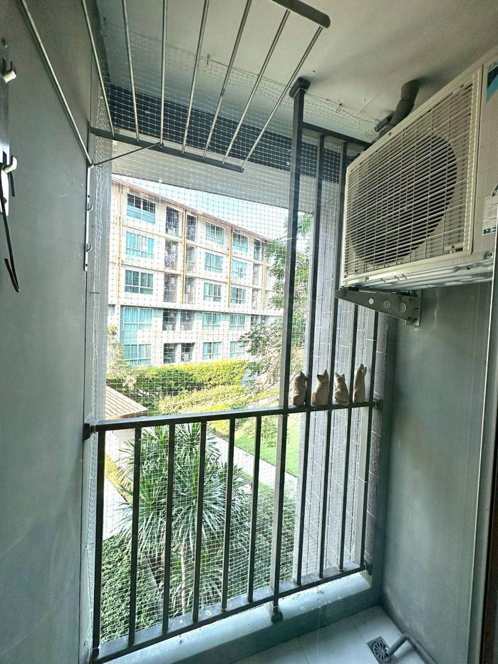 รูป ให้เช่า ❗️ ดีคอนโด แคมปัส  Dcondo Campus CMU ใกล้มช. เดินไปเรียนได้ ว่างพร้อมอยู่ 2 พ.ย. - รูปที่ 10/24
