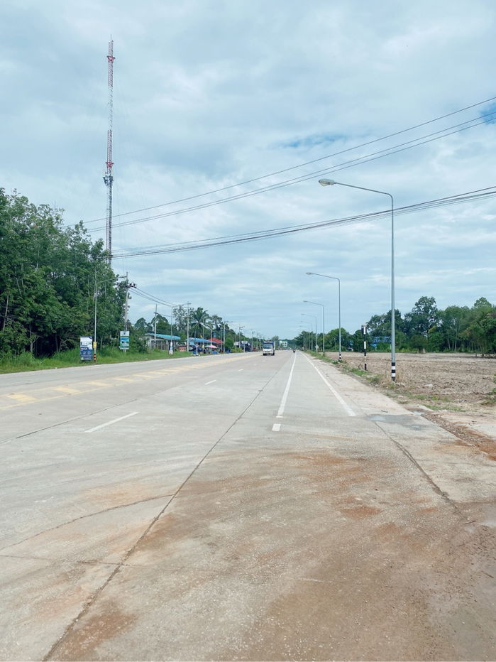 รูป ขายที่ดิน ทำเล EEC ระยอง  รัศมีพื้นที่พัฒนา สนามบินอู่ตะเภา - รูปที่ 3/5