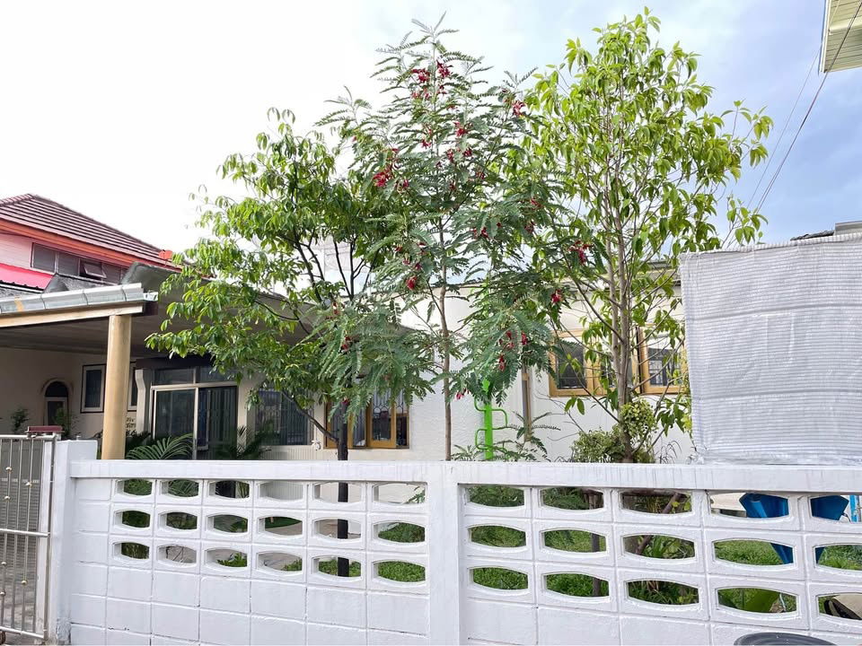 รูป RBV21147 ให้เช่าบ้านเดี่ยว 2ชั้น โครงการ หมู่บ้านเมืองนนท์นิเวศน์ แอดไลน์ @mproperty( มี @ ด้วย) แอดมินตอบไว - รูปที่ 3/23