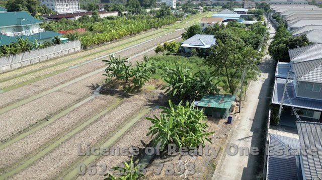 รูป ขายที่ดิน ซ.สวนผัก ปทุมธานี ใกล้วัดหนองปรง ทำเลทอง ราคานี้หายากสุดๆ - รูปที่ 5/8