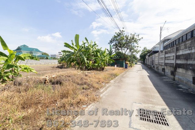 รูป ขายที่ดิน ซ.สวนผัก ปทุมธานี ใกล้วัดหนองปรง ทำเลทอง ราคานี้หายากสุดๆ - รูปที่ 7/8