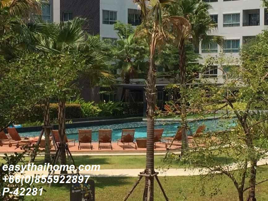 รูป P-42281 ให้เช่า คอนโด เอลลิโอ เดลเรย์ Soi Sukhumvit 64, Phra Khanong Tai, Phra Khanong, Bangkok พร้อมอยู่ ราคาถูก Line Id @easythaihome 085-592-2897 - รูปที่ 2/16