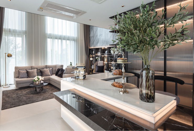 รูป 3 unit สุดท้าย Townhome ลักชู  ลาดพร้าว ใกล้ CBD  จอดรถได้ 4 คัน  - รูปที่ 2/10