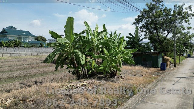 รูป ขายที่ดิน ซ.สวนผัก ปทุมธานี ใกล้วัดหนองปรง ทำเลทอง ราคานี้หายากสุดๆ - รูปที่ 6/8