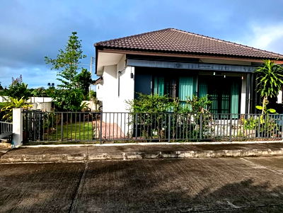 Houses for rent Chiang Mai : Single storey house for rent with 3 bedrooms,2 toilets and 1 kitchen. 