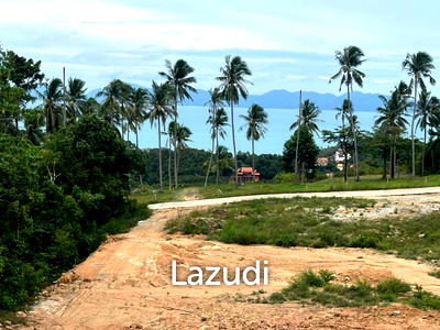 ที่ดิน สุราษฎร์ธานี : Sea View Land for Sale In Pang Por