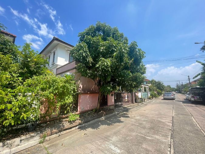 3-bed house for sale, 166 sqm, 50 sq wah, Nong Chok