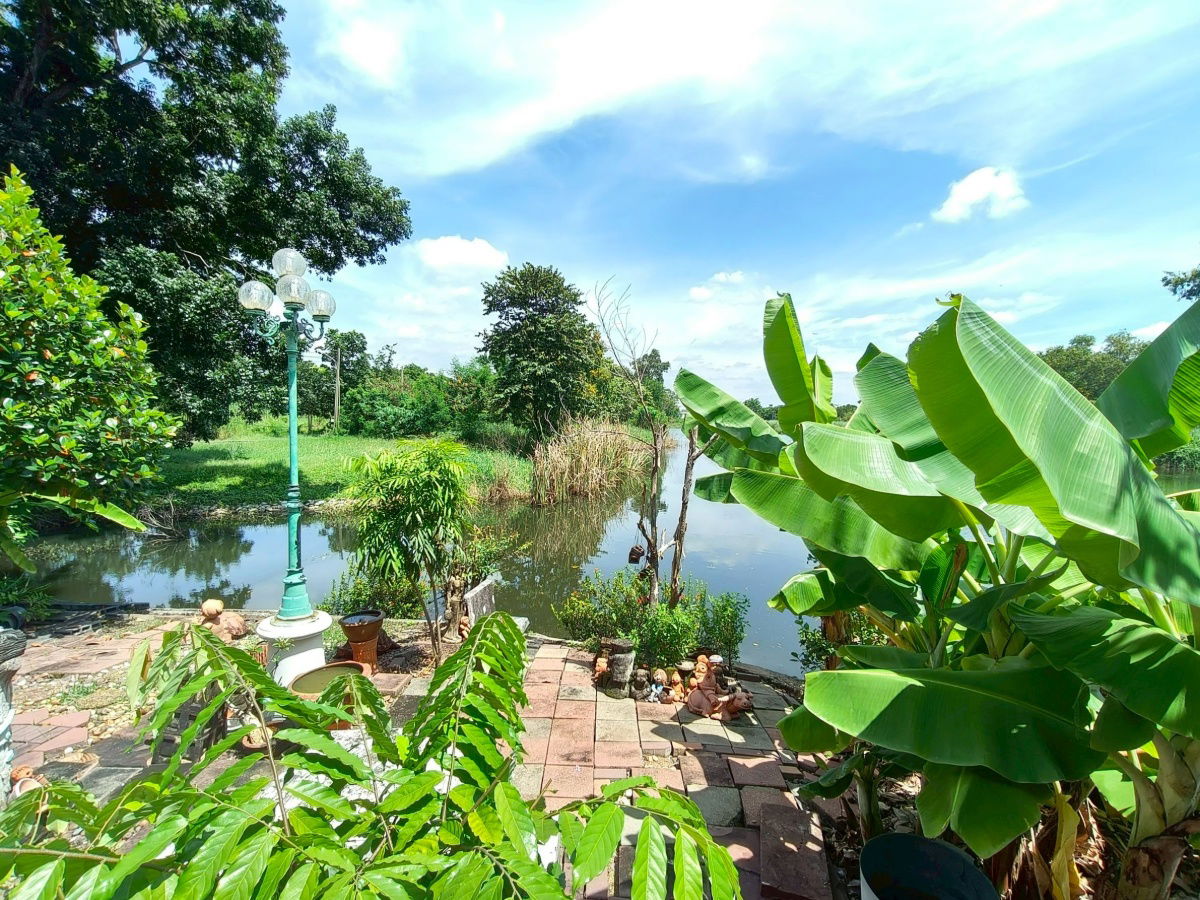 รูป บ้านเดี่ยว รังสิต คลองหลวง หมู่บ้านกฤษดานคร 29 คลองหนึ่ง คลองหลวง  บ้านวิว บึงน้ำ อากาศดีมาก  นัดชมโทรเลย 085-318-6868 - รูปที่ 15/38