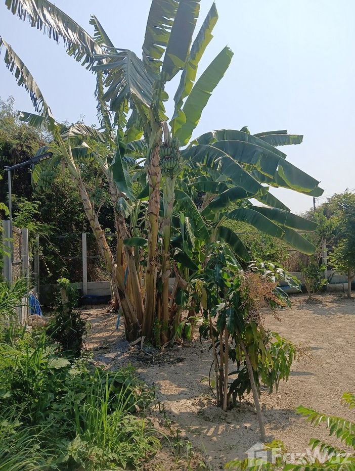 รูป ขาย บ้านเดี่ยว 2 ห้องนอน ใน หินเหล็กไฟ, ประจวบคีรีขันธ์ 2008721 - รูปที่ 15/36