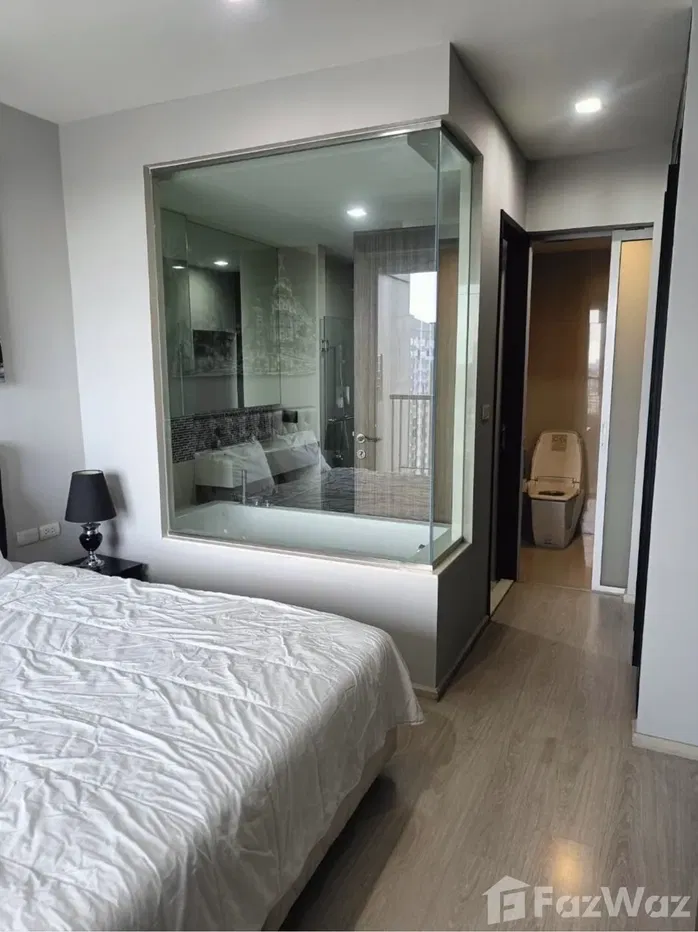 picture Ideo 5356702 - 8/11