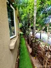 listing thumbnail image 33