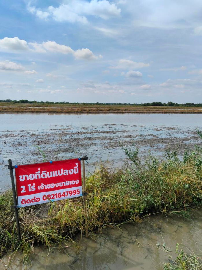 รูป ขายที่ดิน(ยังไม่ถม มีถนนตัดผ่าน) 4 ไร่ คลอง 23 อ.องครักษ์ จ.นครนายก  - รูปที่ 2/4