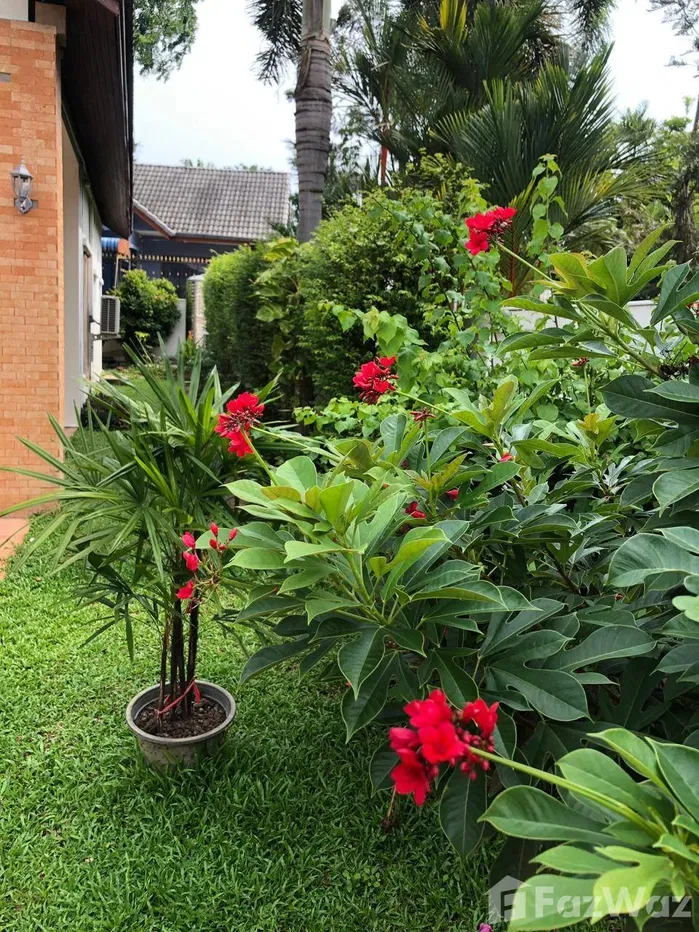 รูป วิลล่าให้เช่า 3 ห้องนอน ในโครงการ พัทยา กรีน วิลล์ 5743164 - รูปที่ 6/49