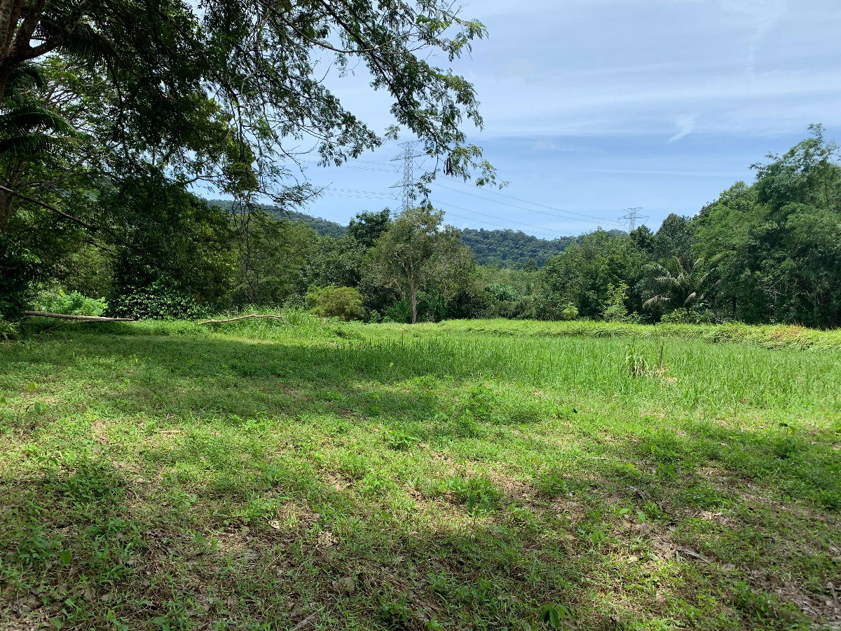 picture 7 Rai flat land, ready to be built and transfer - 4/19