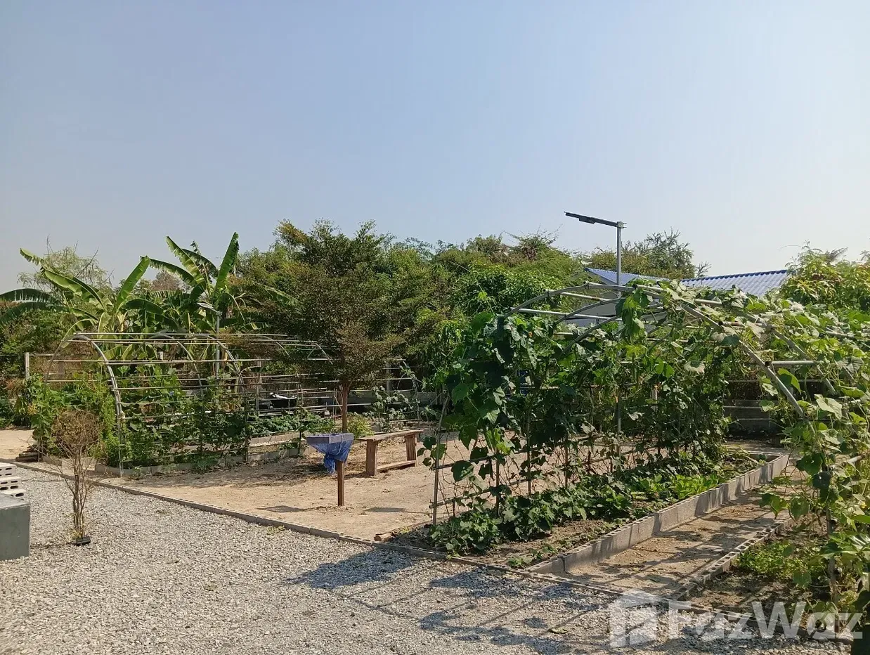 รูป ขาย บ้านเดี่ยว 2 ห้องนอน ใน หินเหล็กไฟ, ประจวบคีรีขันธ์ 2008721 - รูปที่ 27/36